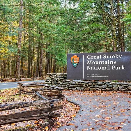 City Bear, 2Br, Pool, Spa, Downtown Gatlinburg, Sleeps 6 Appartement Buitenkant foto
