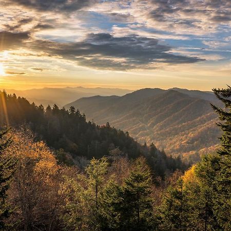 City Bear, 2Br, Pool, Spa, Downtown Gatlinburg, Sleeps 6 Appartement Buitenkant foto