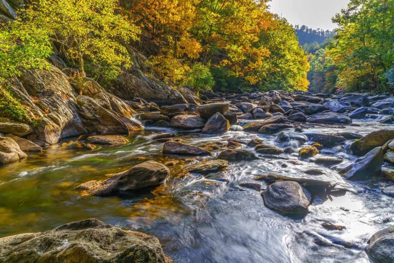 City Bear, 2Br, Pool, Spa, Downtown Gatlinburg, Sleeps 6 Appartement Buitenkant foto