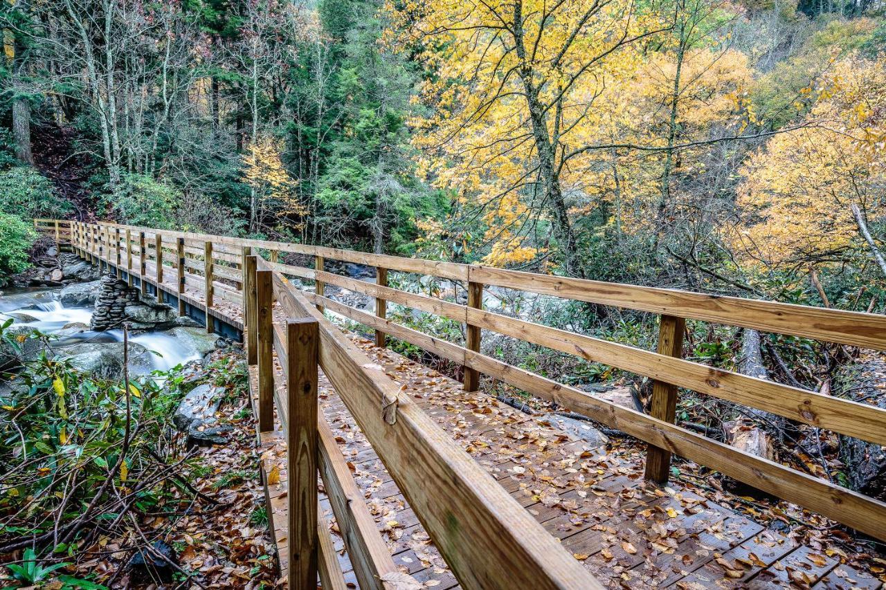 City Bear, 2Br, Pool, Spa, Downtown Gatlinburg, Sleeps 6 Appartement Buitenkant foto